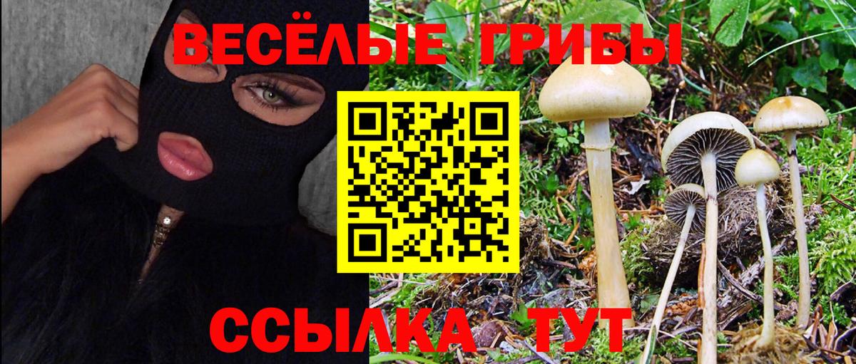 Псилоцибиновые грибы Magic Shrooms Чусовой