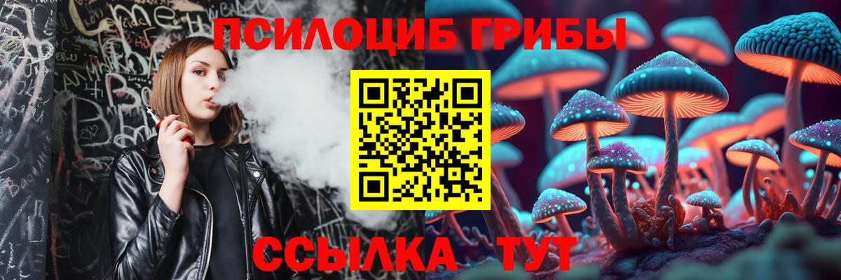 Чусовой  Псилоцибиновые грибы Psilocybine cubensis  Галлюциногенные грибы мицелий  Вход с VPN 